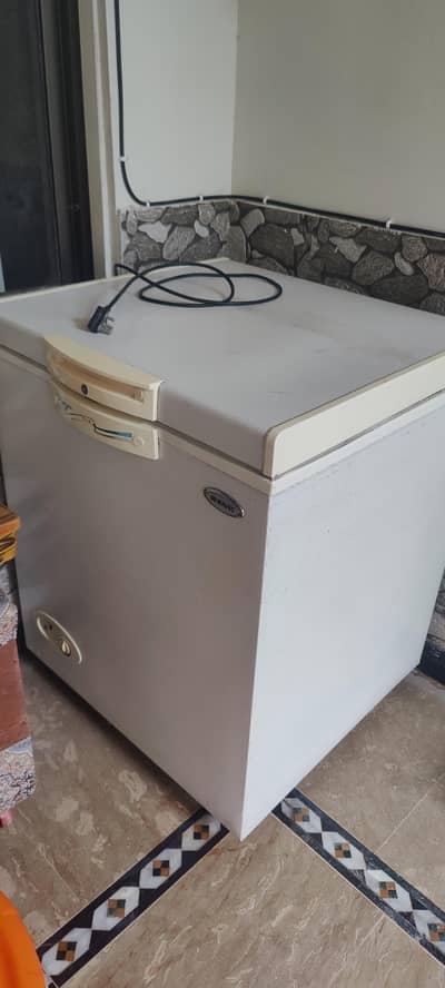 waves deep freezer