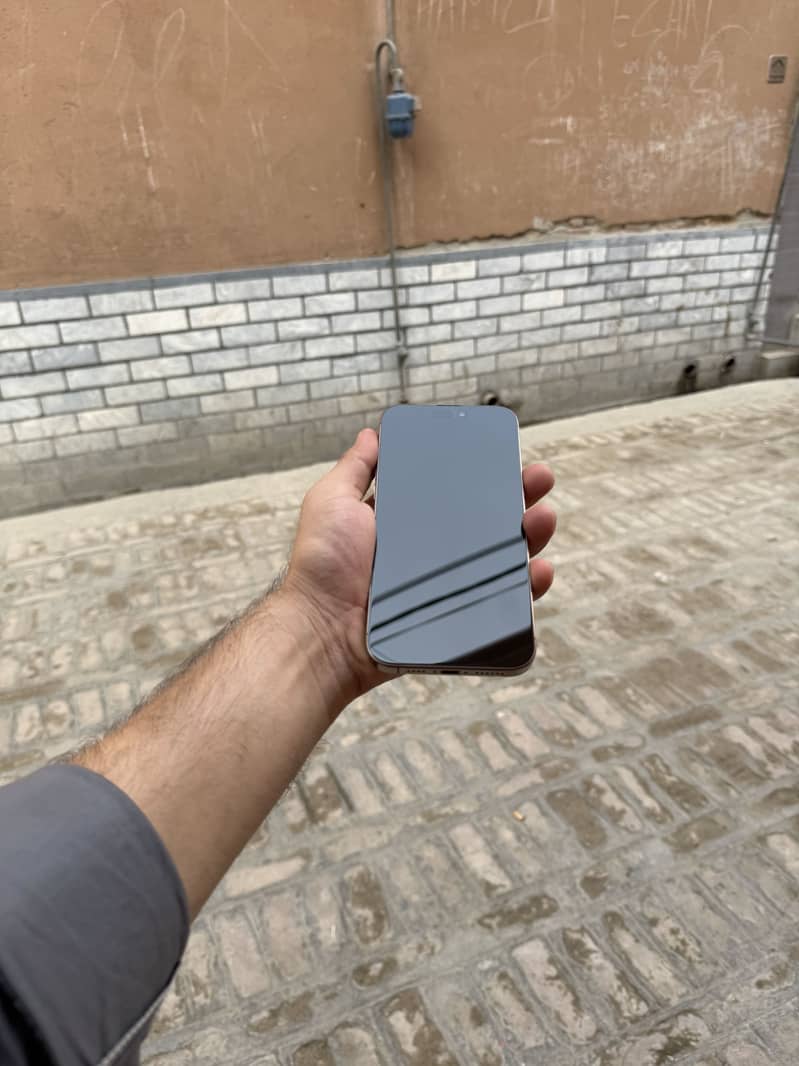 Apple iPhone 16 Pro Max 1