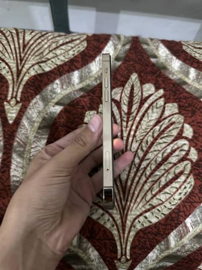 Apple iPhone 12 Pro dual physical approved
