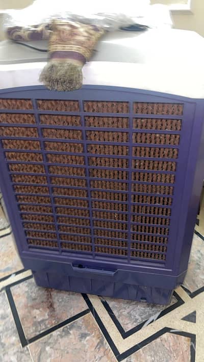 Air cooler