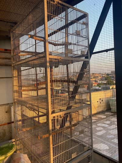 5 porchan cage for sale.