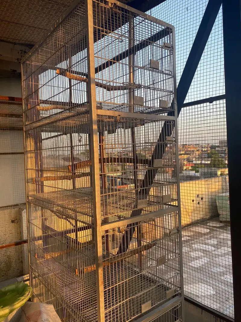 5 porchan cage for sale.