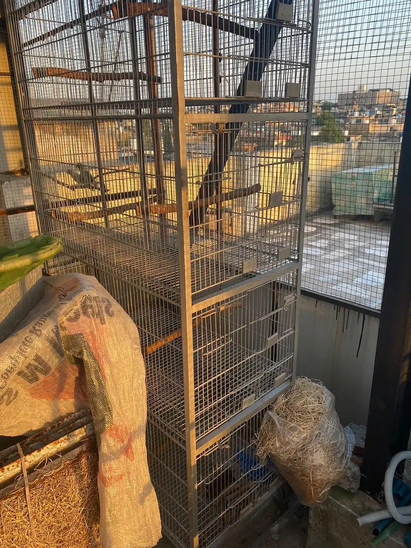 5 porchan cage for sale. — photo 2