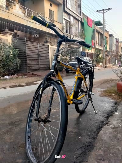 26" Bicycle