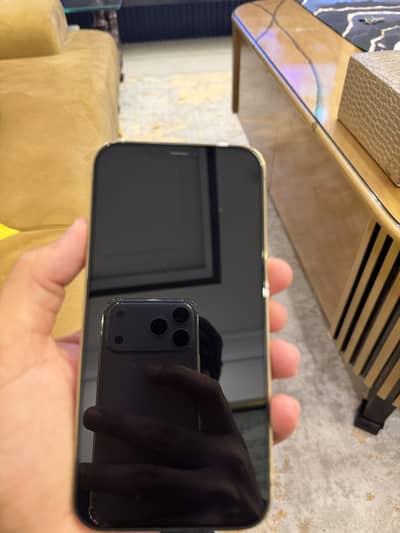 Apple iPhone 12 Pro Max PTA approved 128GB