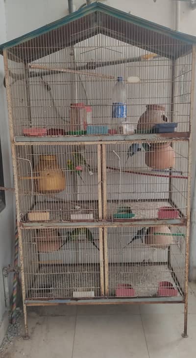 5 portions cage