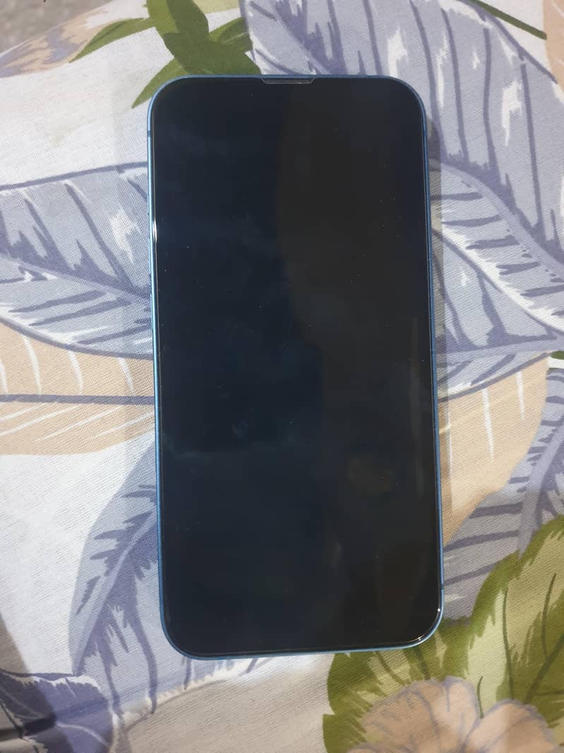 Apple iPhone 13 0
