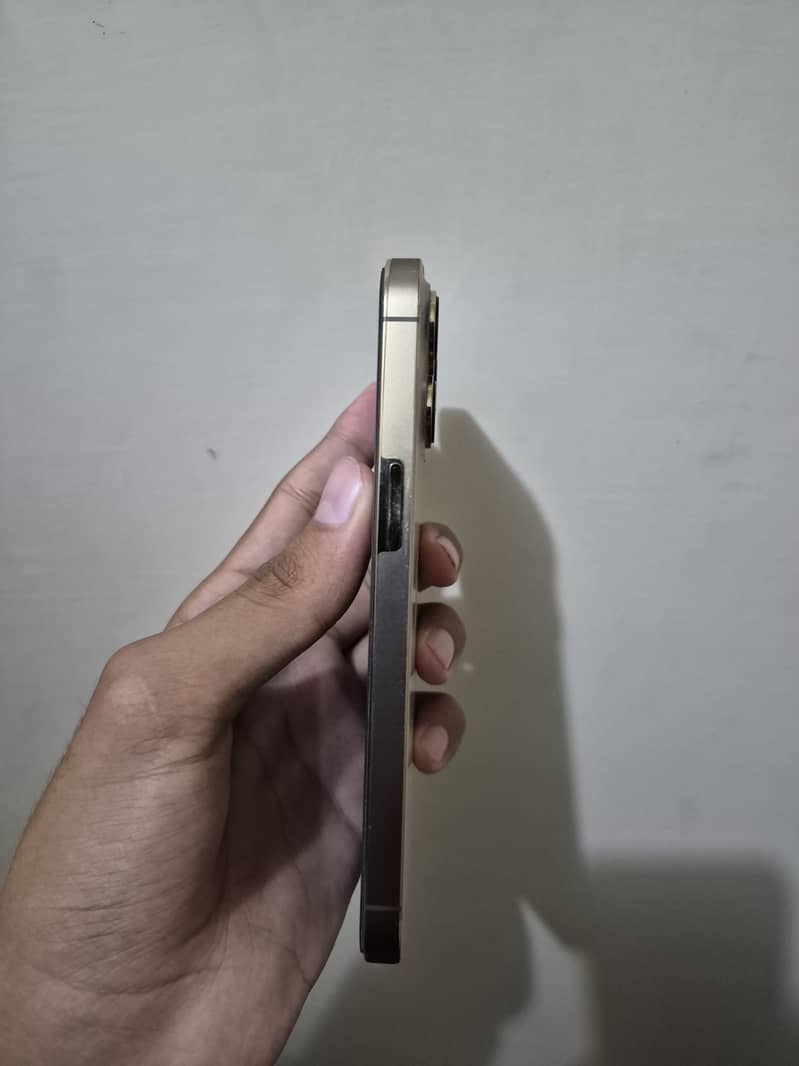 Apple iPhone 13 Pro 2