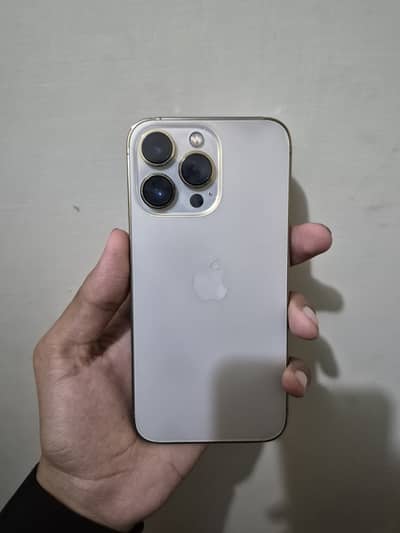 Apple iPhone 13 Pro