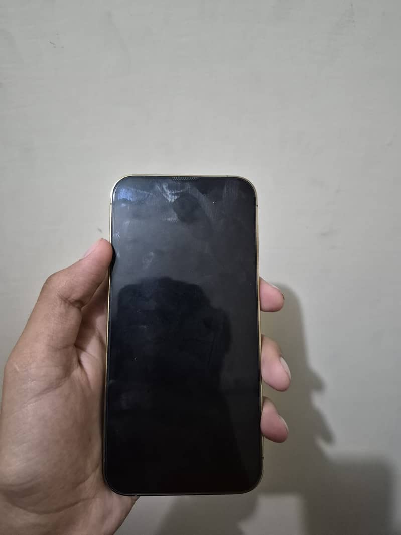 Apple iPhone 13 Pro 1