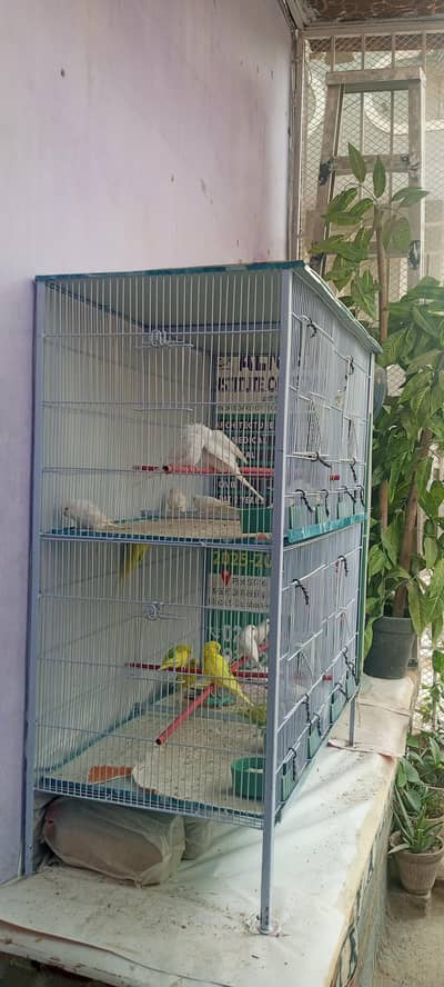 “4-Compartment Bird Cage – Spacious & Clean – Ideal for Budgies”