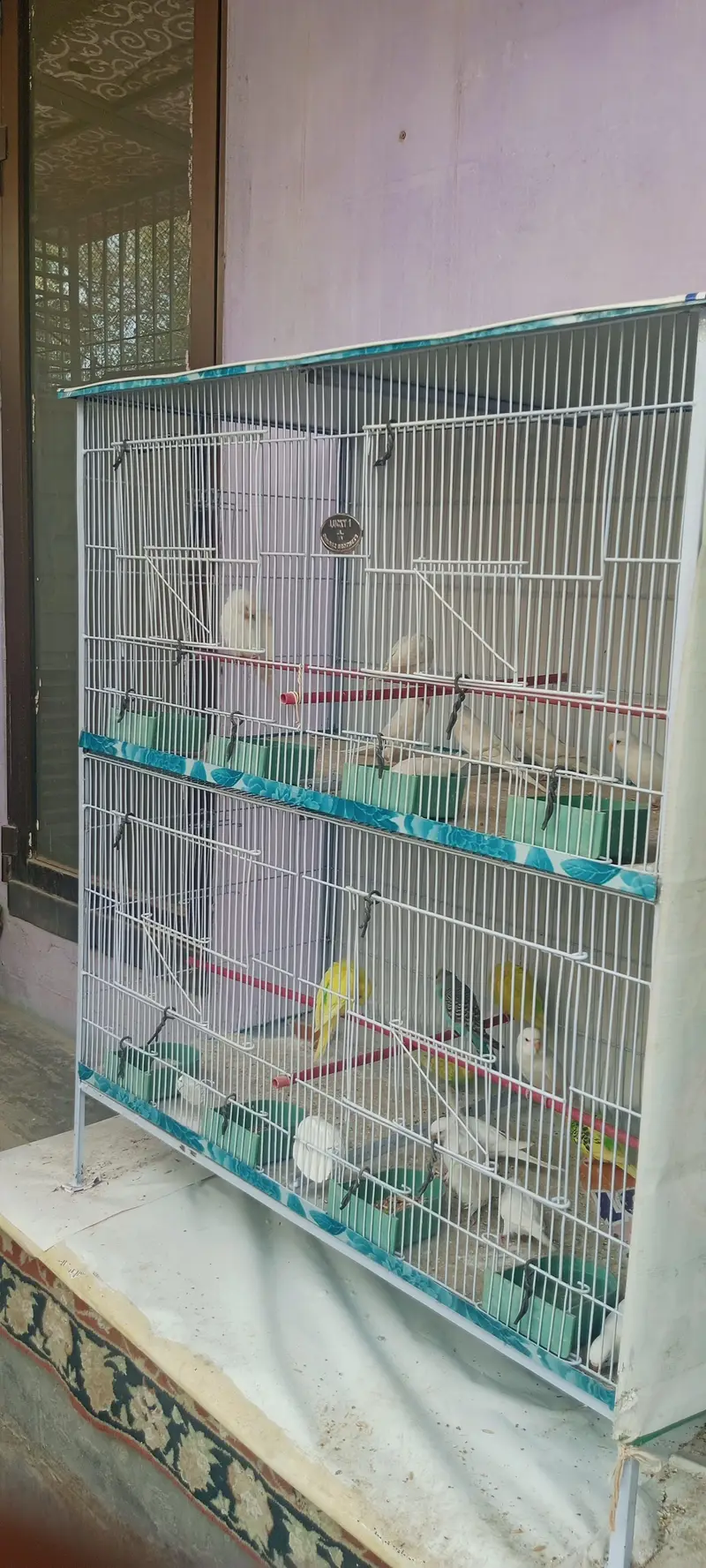 “4-Compartment Bird Cage – Spacious & Clean – Ideal for Budgies” — photo 2