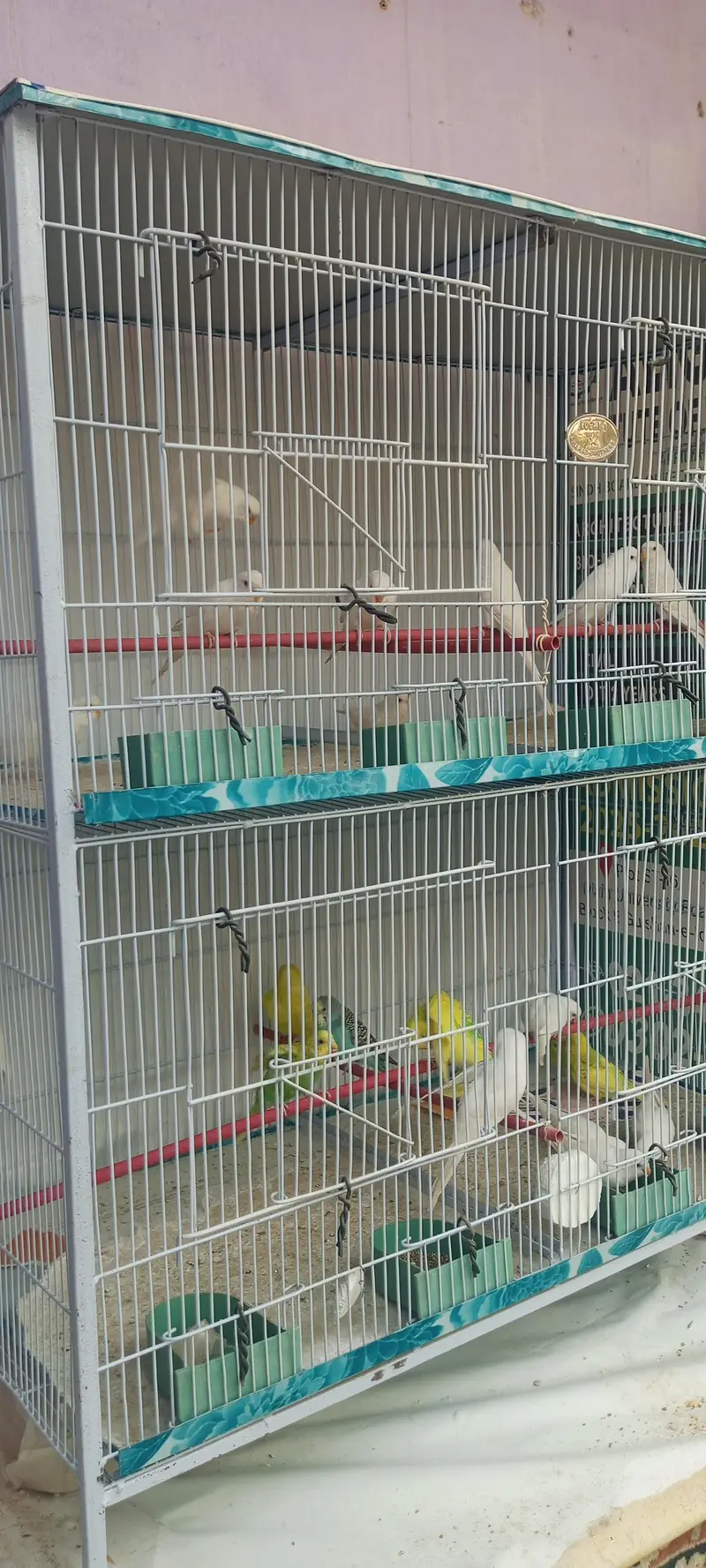 “4-Compartment Bird Cage – Spacious & Clean – Ideal for Budgies” — photo 3
