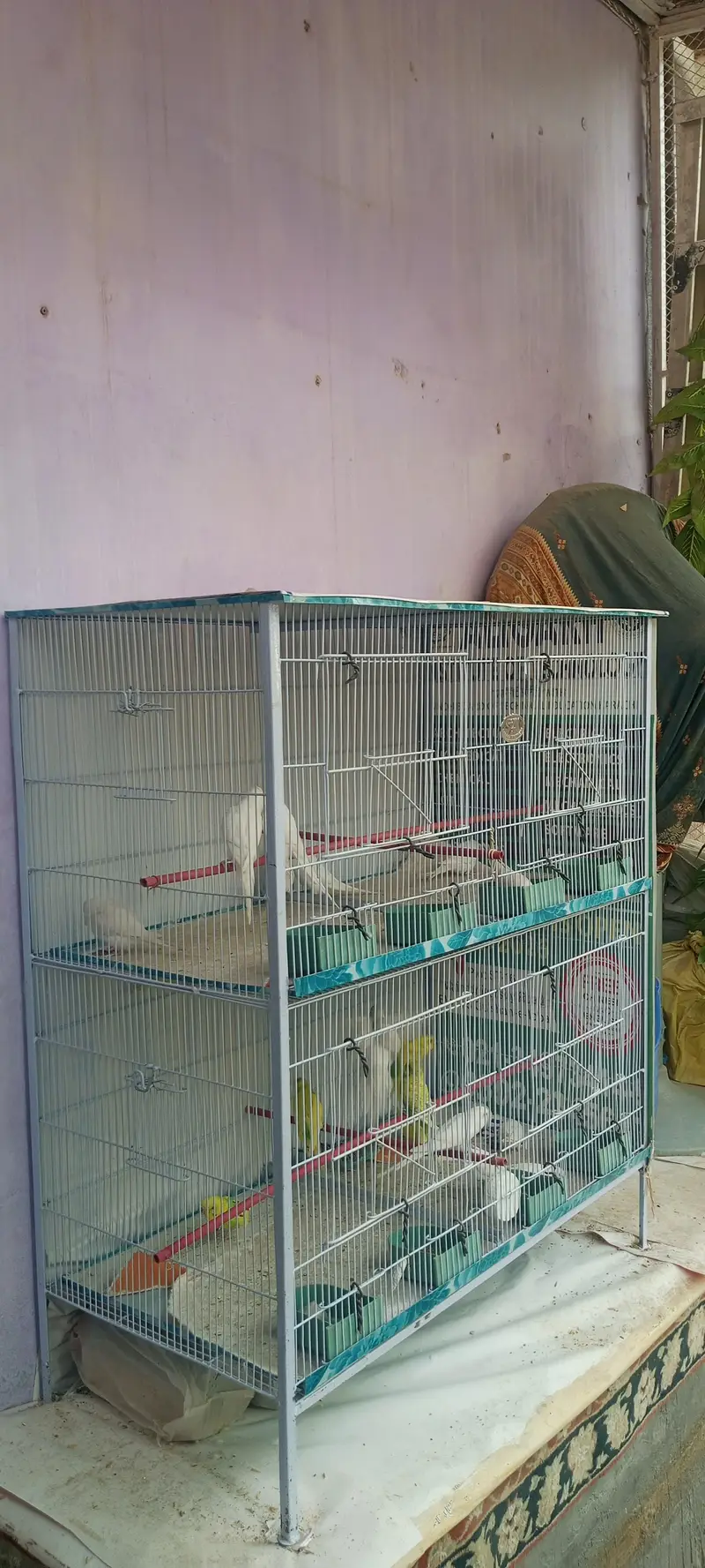 “4-Compartment Bird Cage – Spacious & Clean – Ideal for Budgies” — photo 4