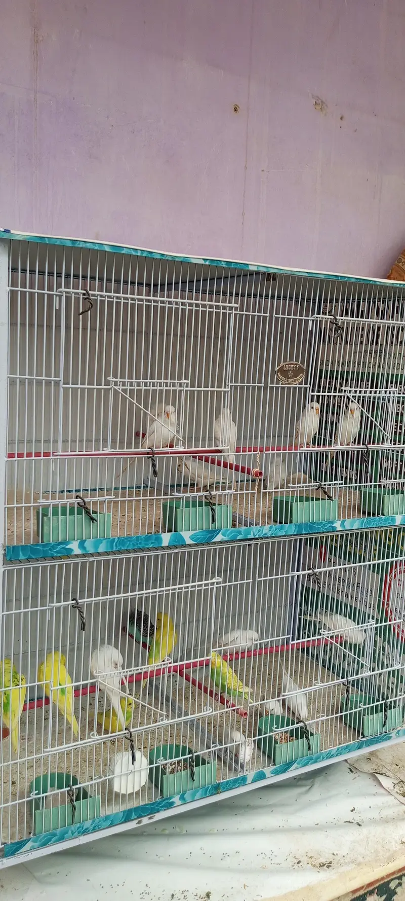“4-Compartment Bird Cage – Spacious & Clean – Ideal for Budgies” — photo 5