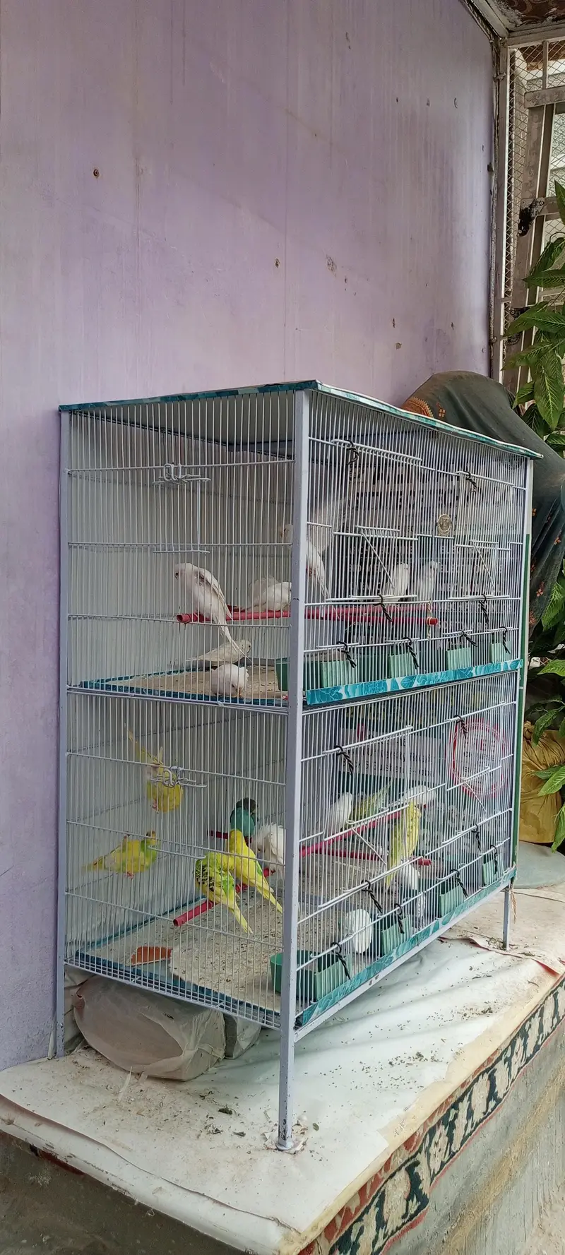 “4-Compartment Bird Cage – Spacious & Clean – Ideal for Budgies” — photo 6