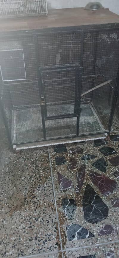 cage For Sell