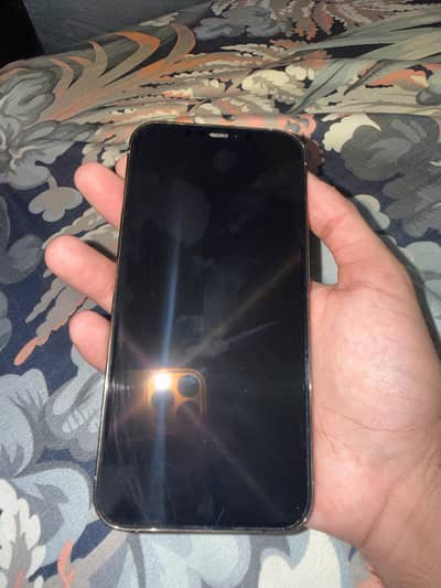 Apple iPhone 12 Pro Max