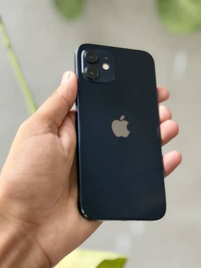 Apple iPhone 12