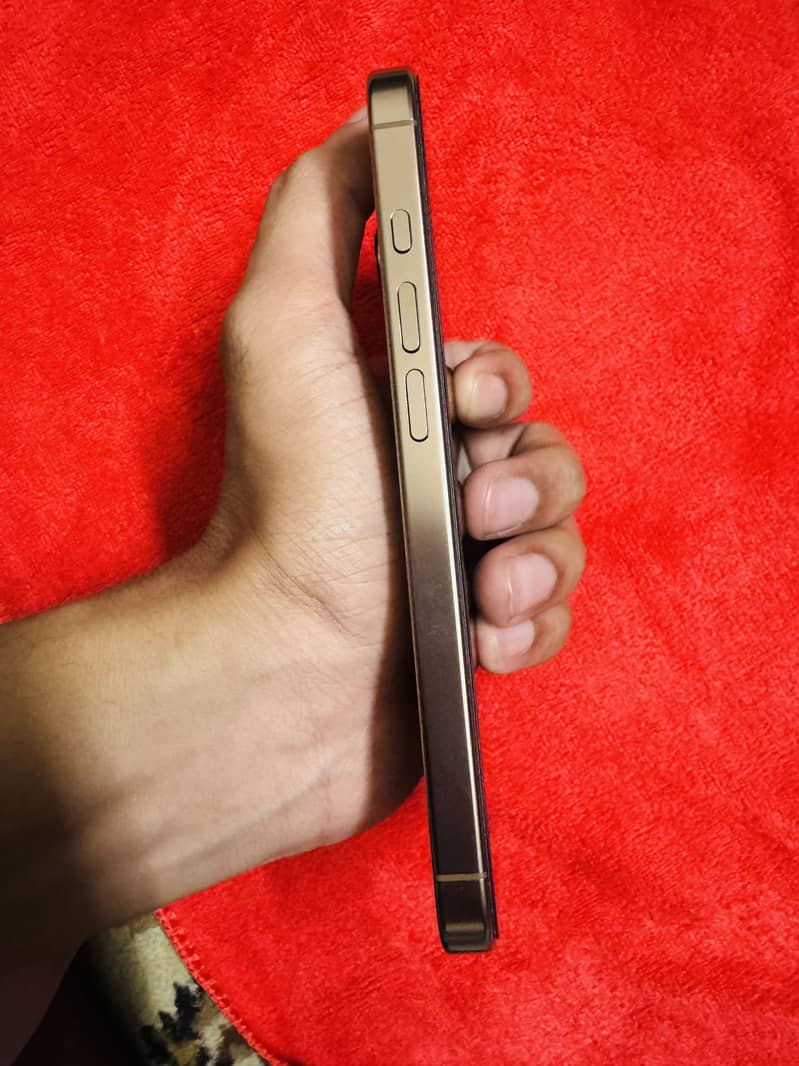Apple iPhone 16 Pro 1