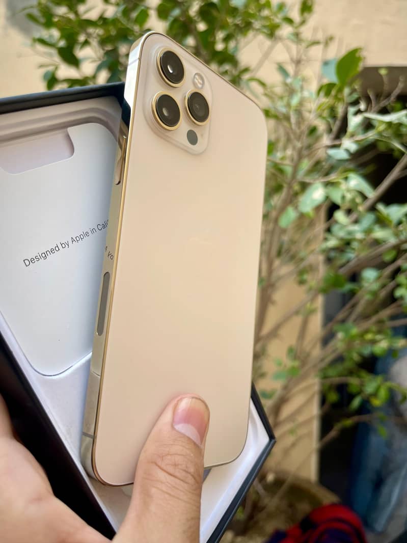 Apple iPhone 12 Pro Max 0