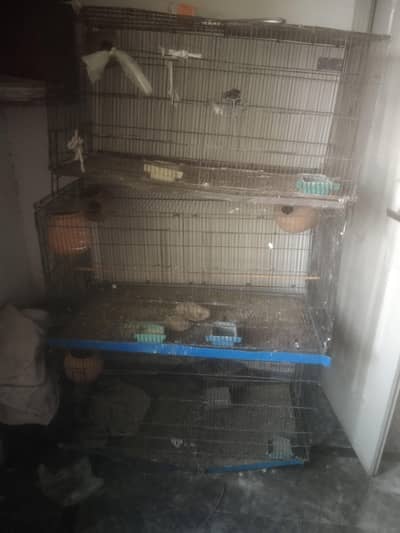 bird cages for sale