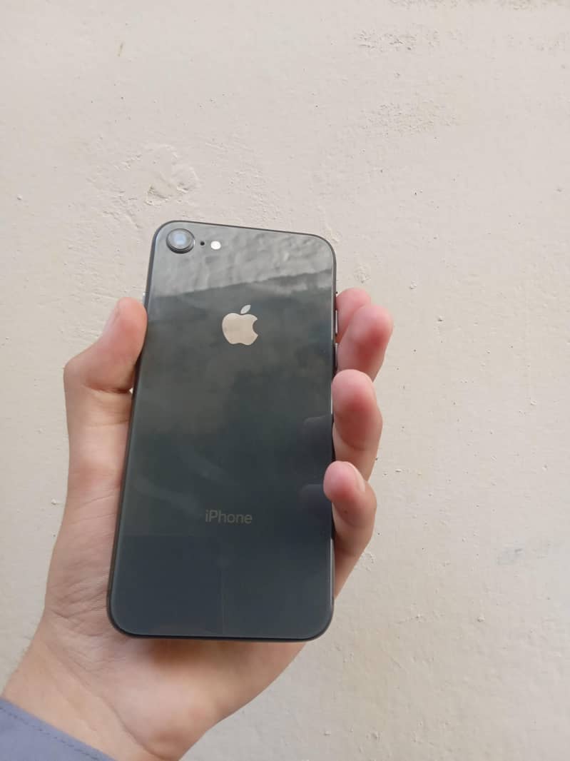Apple iPhone 8 0