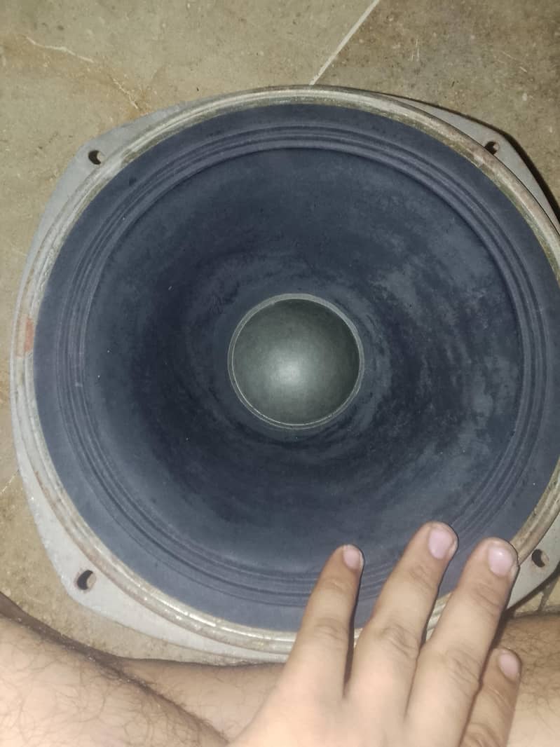 speaker 12 inch 0