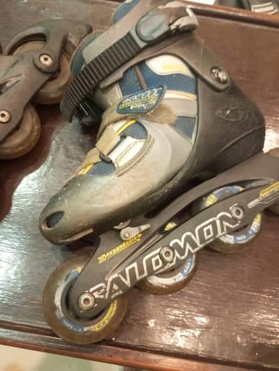 skating shoes