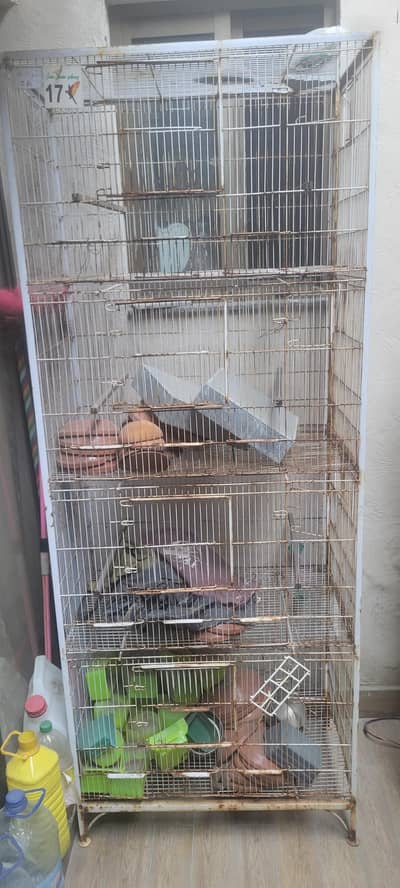 love birds cages