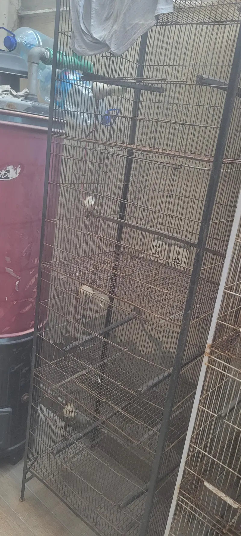 love birds cages — photo 2