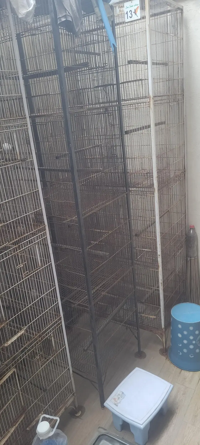love birds cages — photo 3