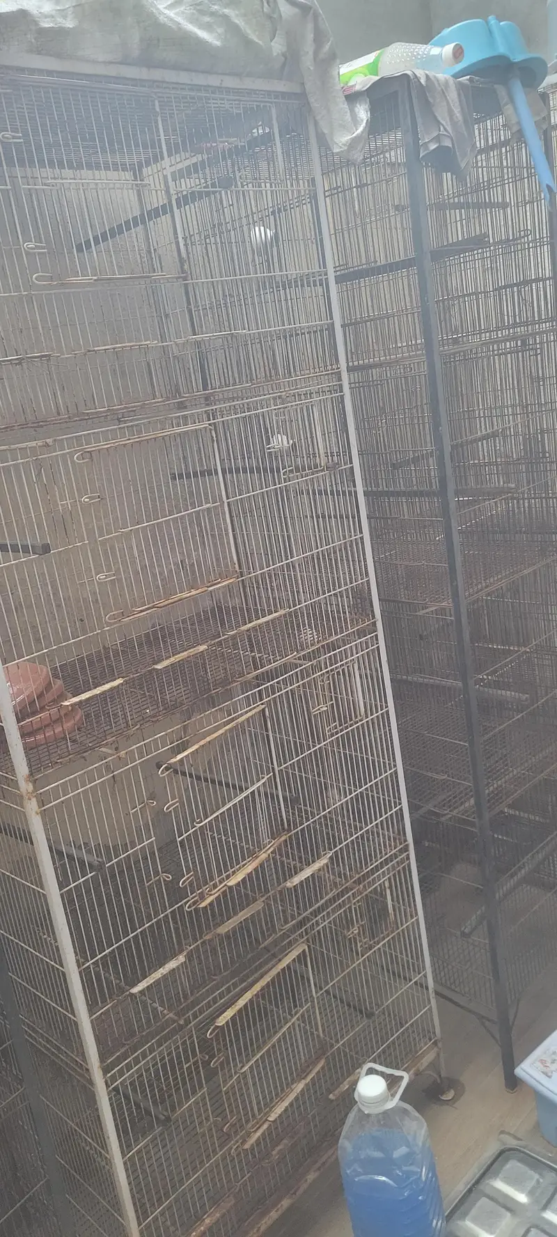 love birds cages — photo 4