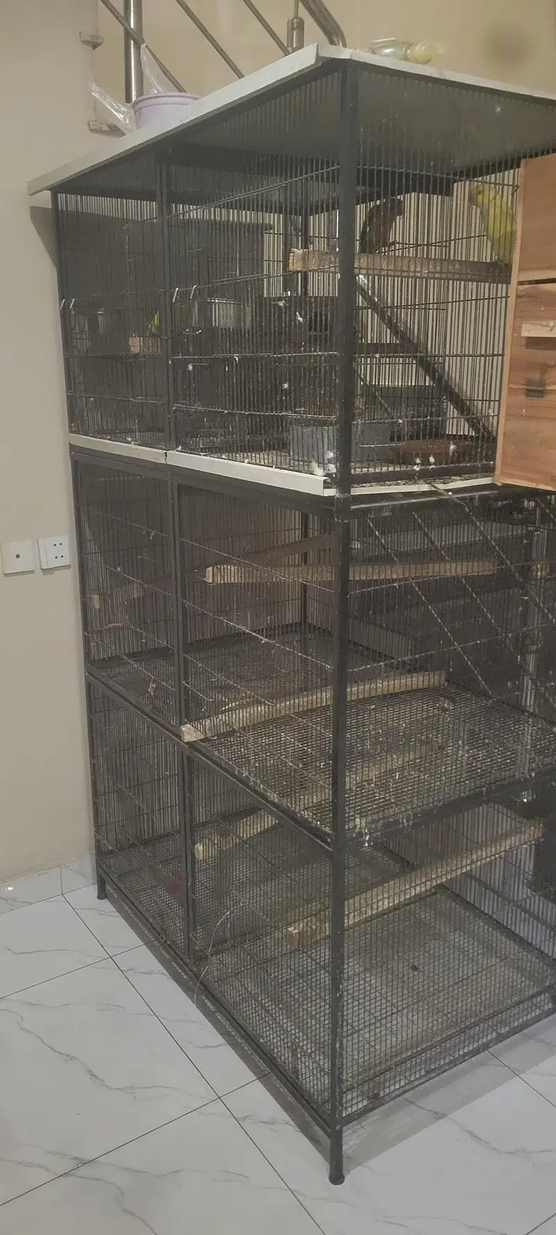 love birds cages — photo 5