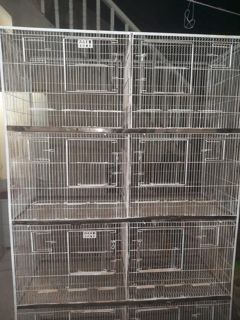 Big Iron cage — photo 2