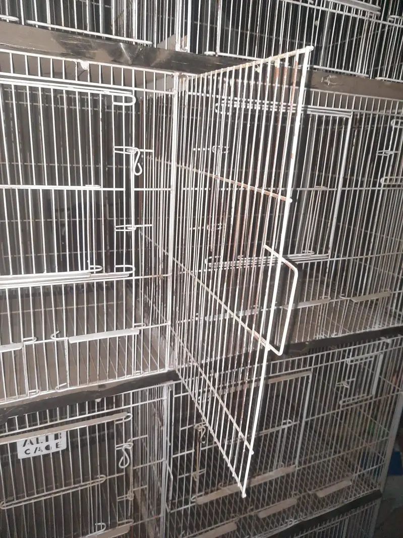 Big Iron cage — photo 3