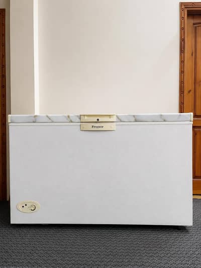 WAVES Deep Freezer – WDF 315 Excellent Condition