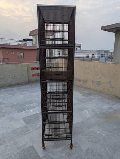4 Cages