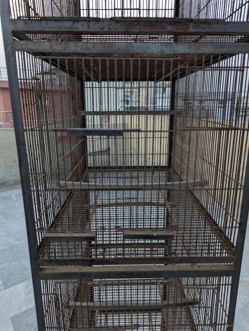 4 Cages — photo 2