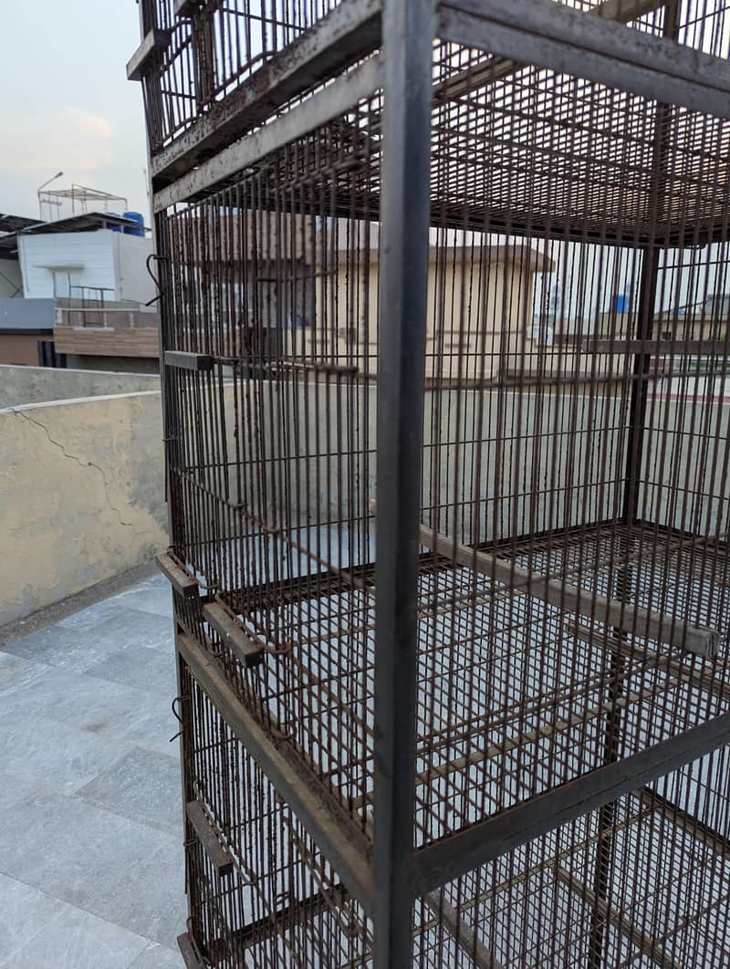 4 Cages 2