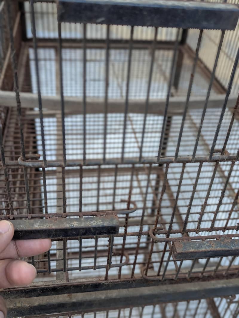 4 Cages 3