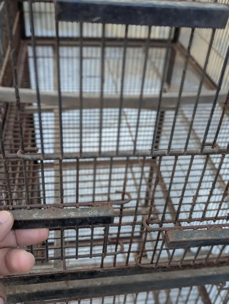 4 Cages — photo 4