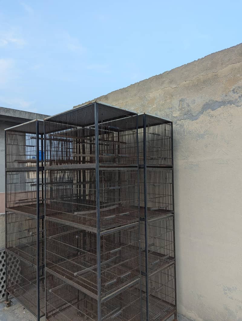 4 Cages 5