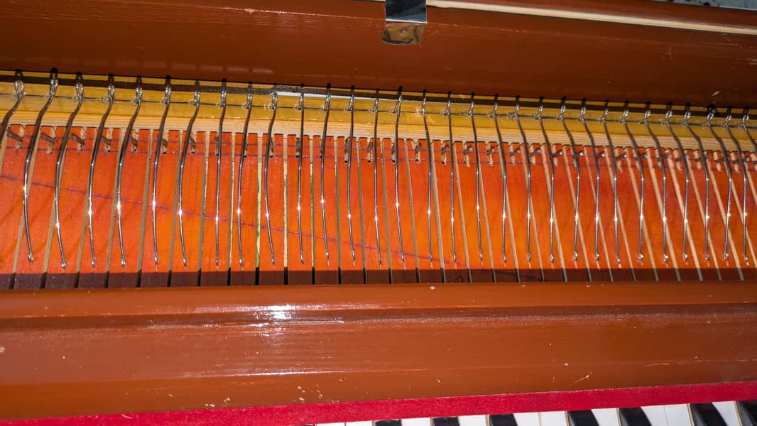 ns harmonium 6