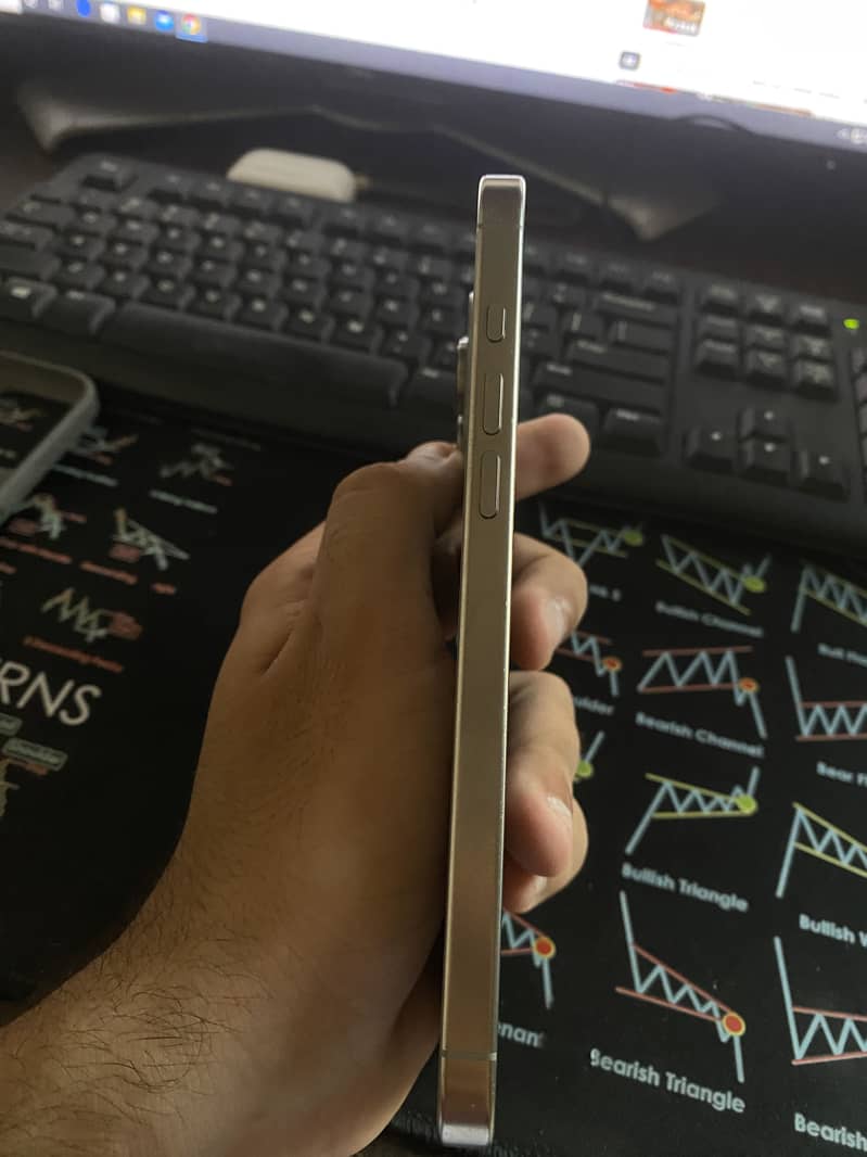 Apple iPhone 16 Pro Max 1