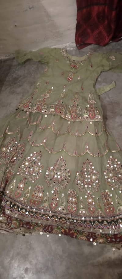 Mehndi Lehnga/Pastel color