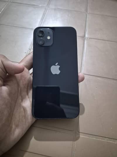 Apple iPhone 12