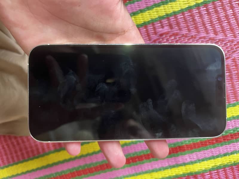 Apple iPhone 13 Pro Max 2