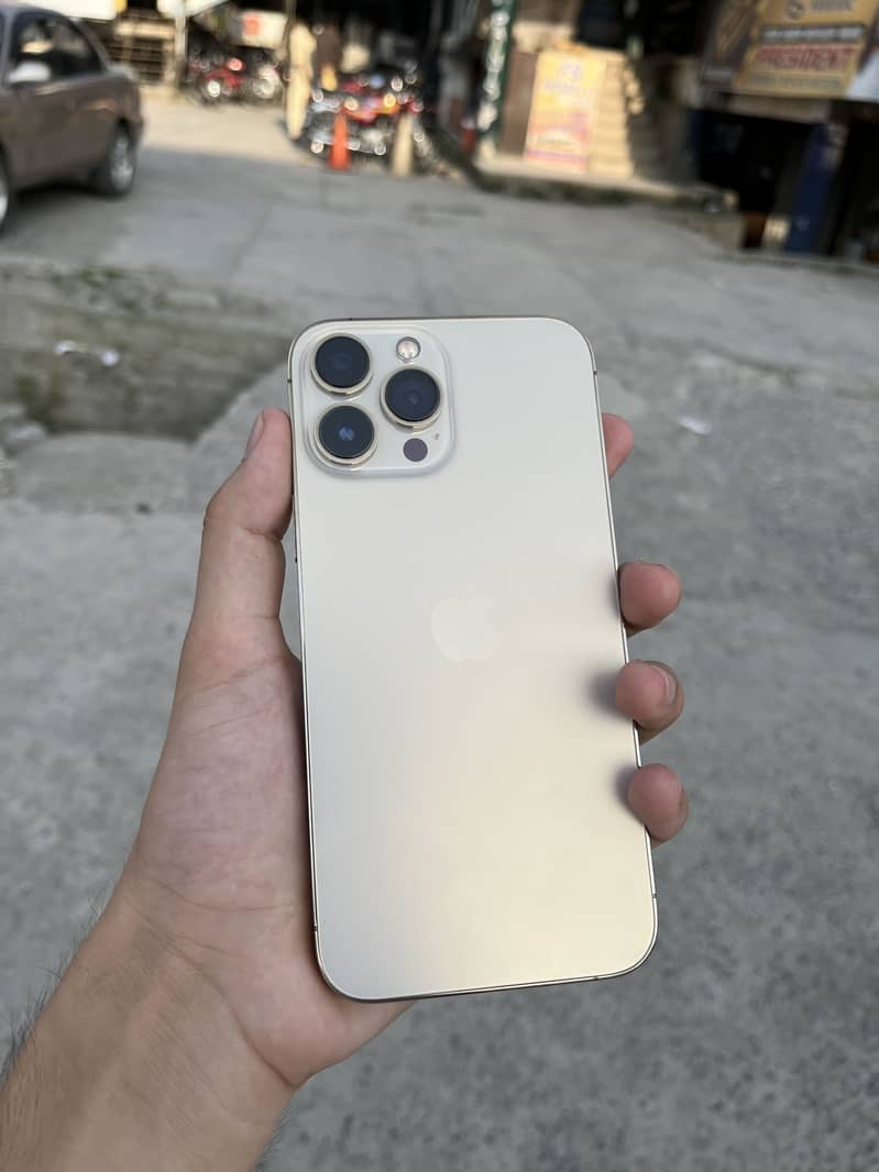 Apple iPhone 13 Pro Max 1