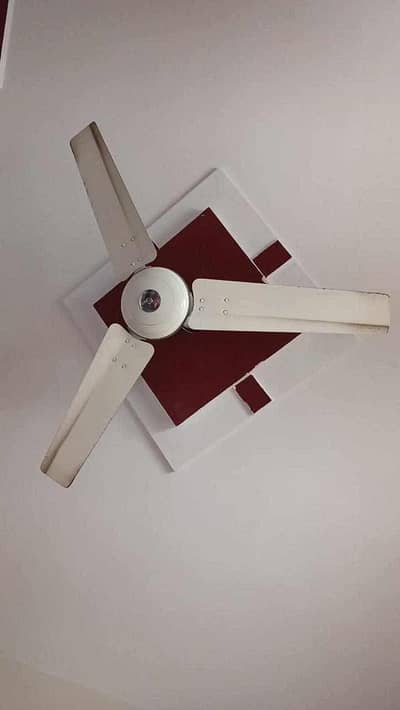 ceiling fans
